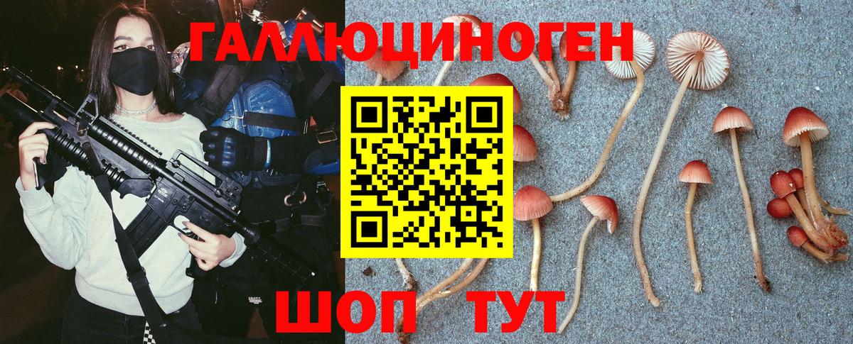Медногорск  Галлюциногенные грибы Magic Shrooms  Галлюциногенные грибы мицелий  Вход с VPN 